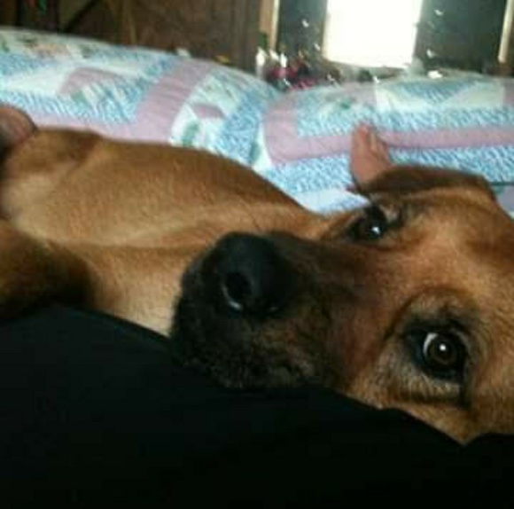 I love my fur babies! Animals Rule!! - Picture 7 of 8